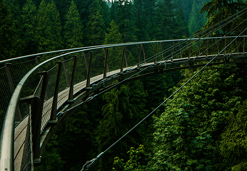 Capilano Bridge rainforest walk Vancouver